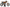 Ķ