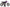 Evil Xax Purple