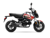 Honda Grom Motul