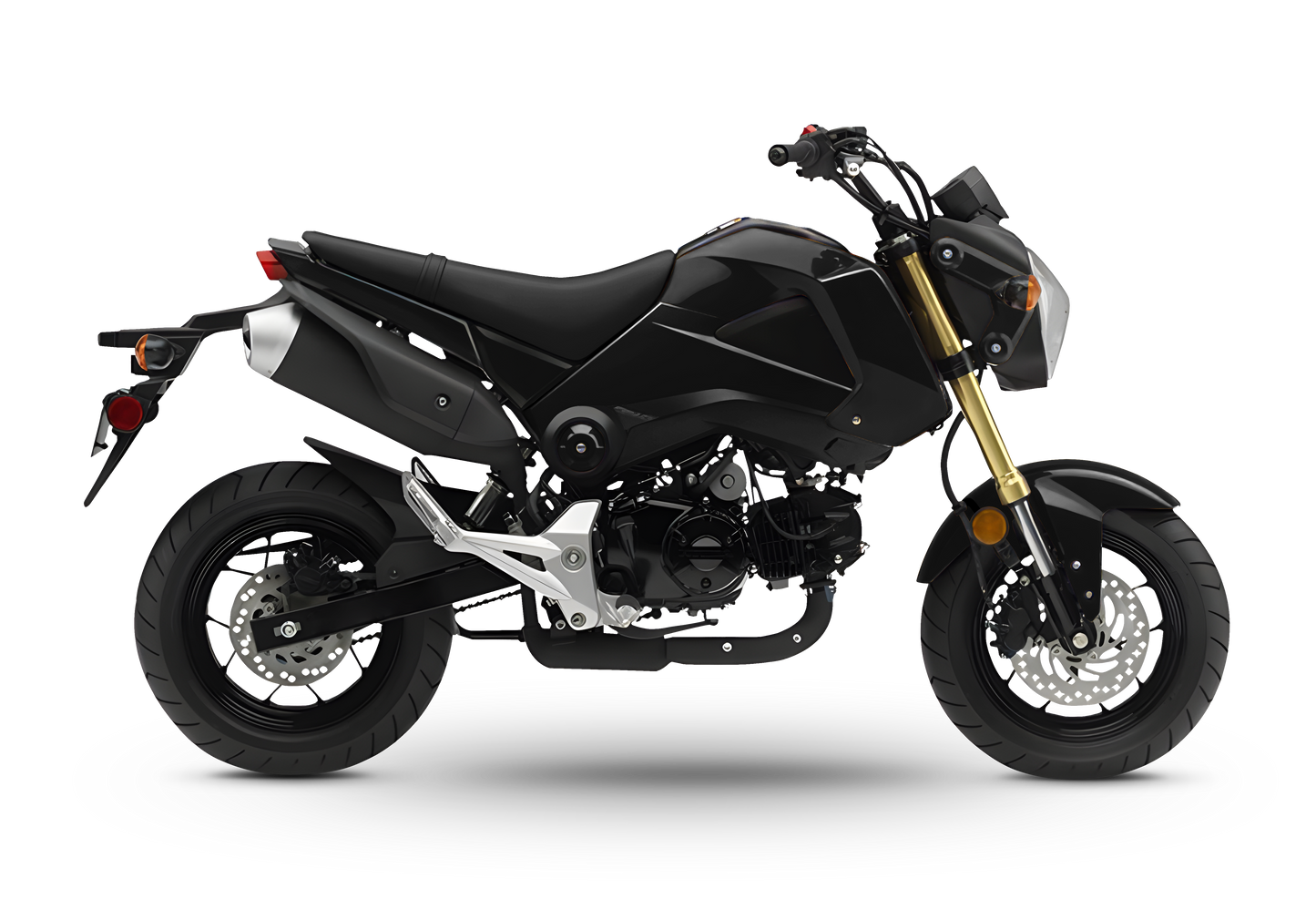 Honda Grom Gen 1 2014-2016 Template