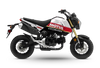 Honda Grom Motul