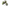 Stealth Neon