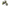 Inferno Core Neon