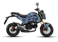 Honda The beast