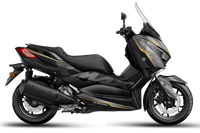 Xmax True Gold Silver