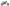 Callicaligraphi